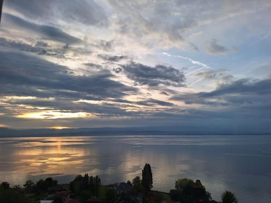 טונון-לה-בן Appartement Avec Vue 180 Sur Le Lac Leman מראה חיצוני תמונה